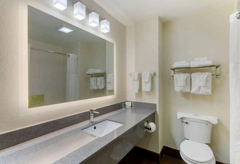 فندق Sleep Inn & Suites Smyrna   Nashville