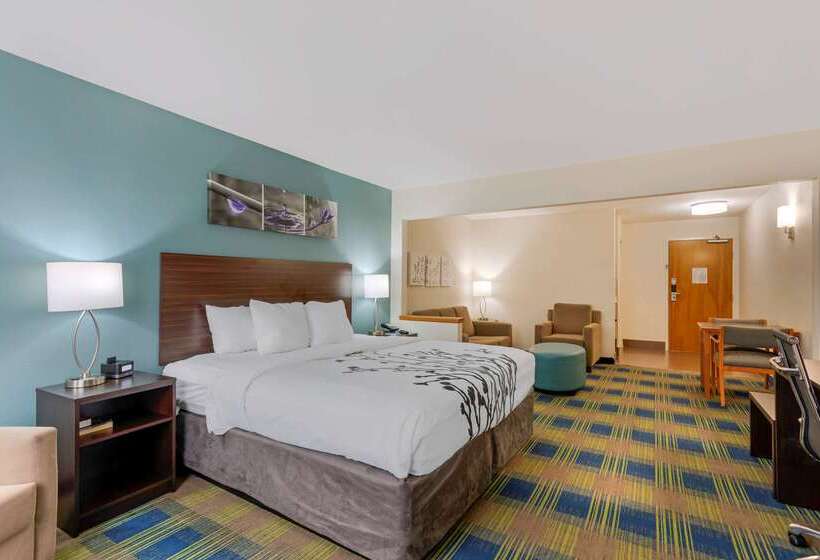 فندق Sleep Inn & Suites Smyrna   Nashville