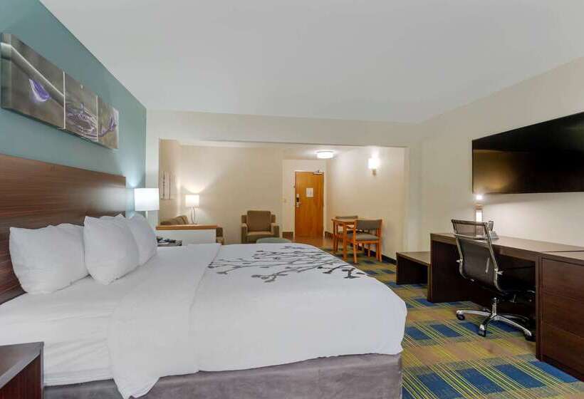 فندق Sleep Inn & Suites Smyrna   Nashville