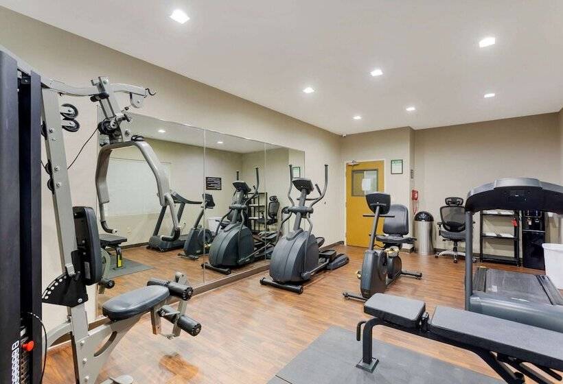 فندق Sleep Inn & Suites Smyrna   Nashville