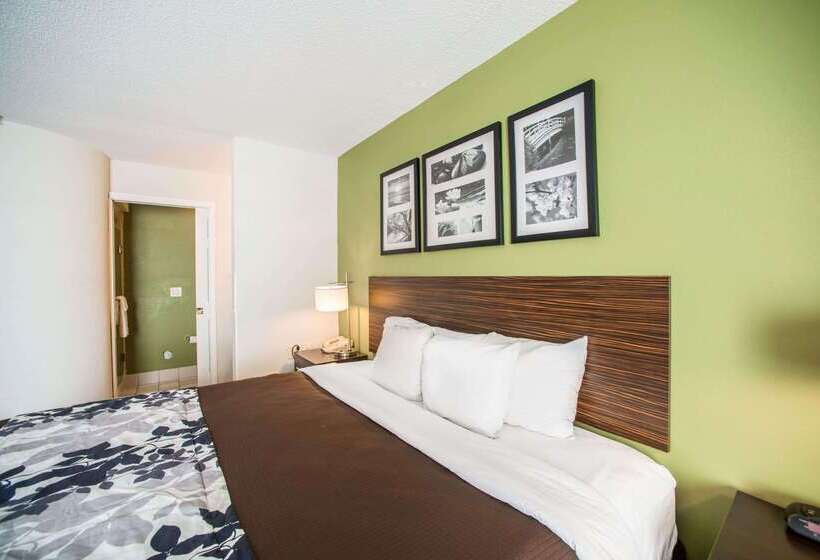 酒店 Sleep Inn Decatur I72