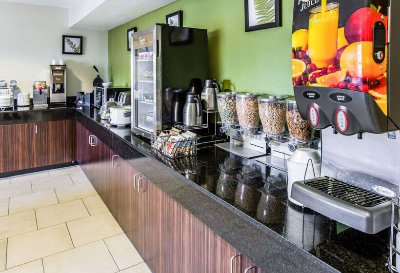 酒店 Sleep Inn Near Outlets