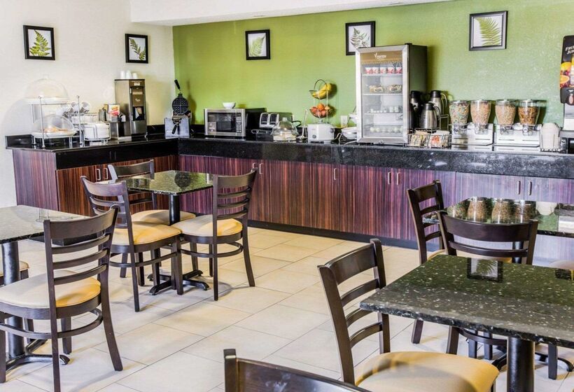 酒店 Sleep Inn Near Outlets