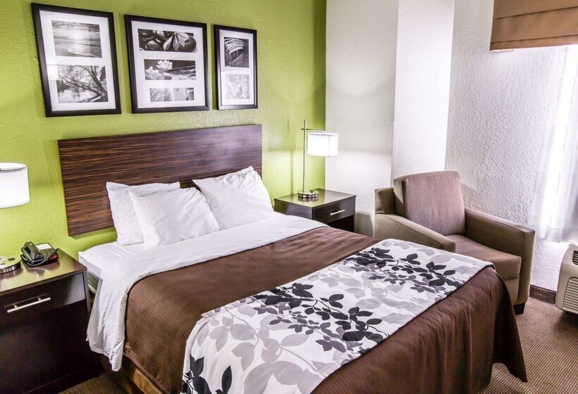 酒店 Sleep Inn Near Outlets