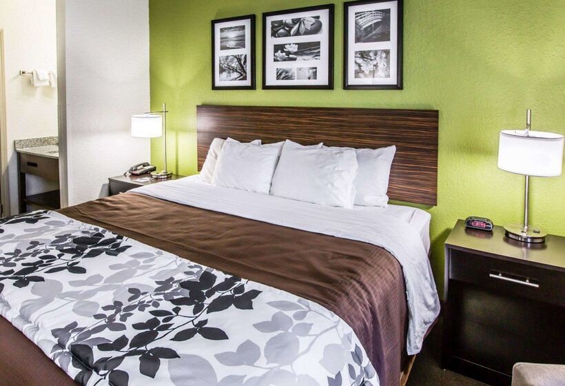 酒店 Sleep Inn Near Outlets