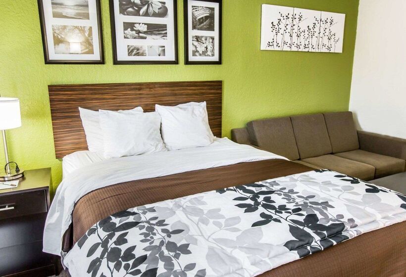 酒店 Sleep Inn Near Outlets