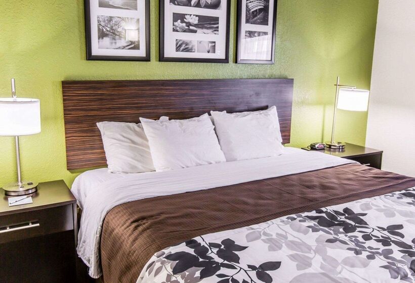 酒店 Sleep Inn Near Outlets