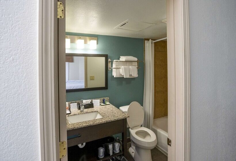 酒店 Sleep Inn Near Outlets