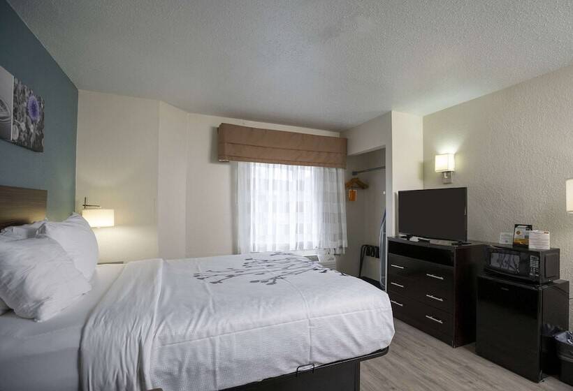 酒店 Sleep Inn Near Outlets