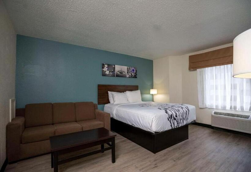 酒店 Sleep Inn Near Outlets