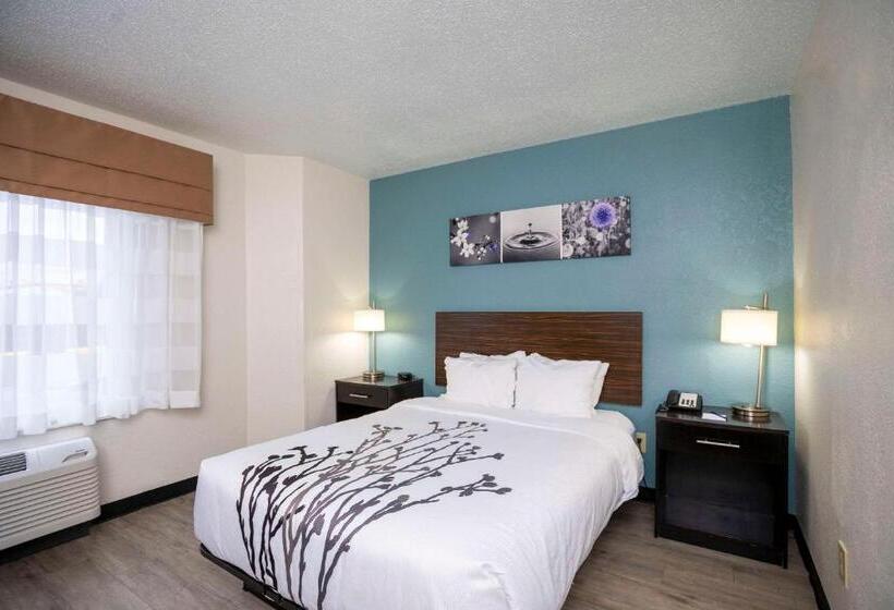 酒店 Sleep Inn Near Outlets
