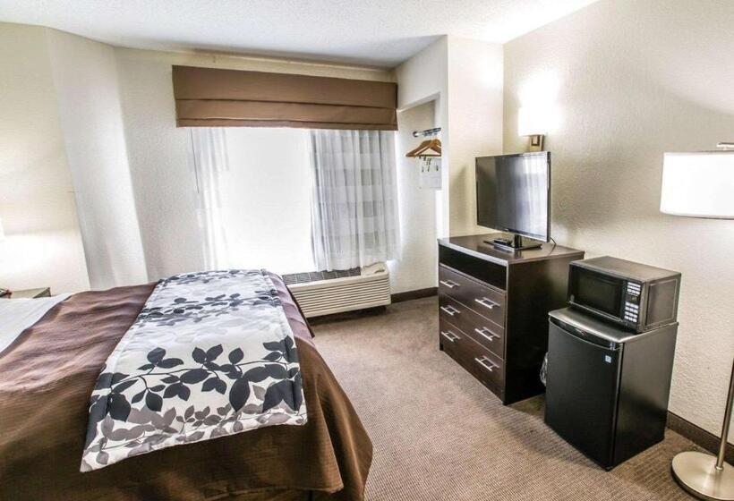 酒店 Sleep Inn Near Outlets