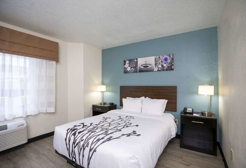 酒店 Sleep Inn Near Outlets
