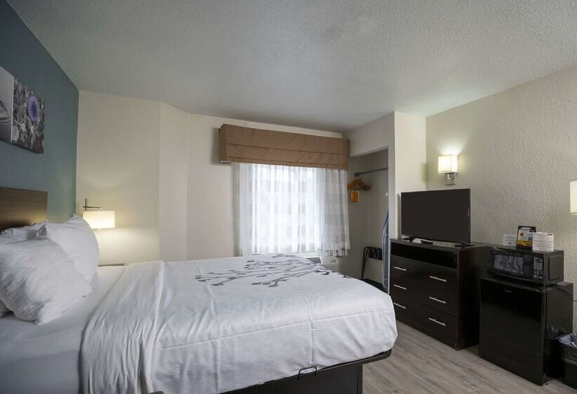 酒店 Sleep Inn Near Outlets