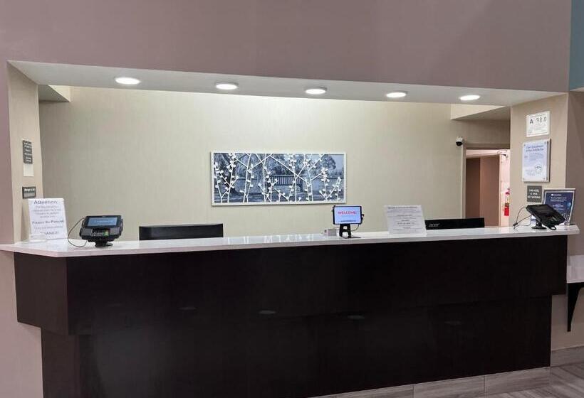 酒店 Sleep Inn Northlake