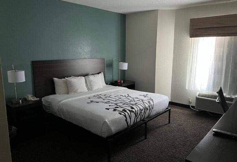 酒店 Sleep Inn Northlake