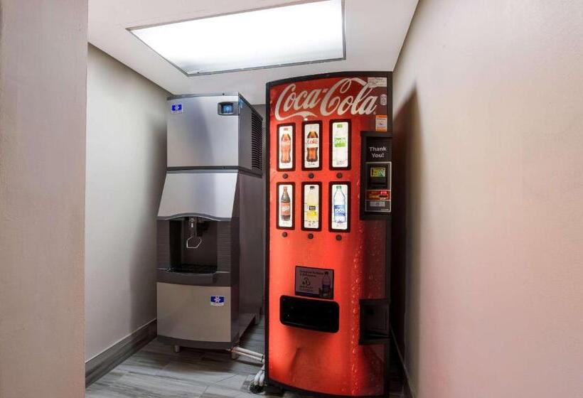 酒店 Sleep Inn Northlake