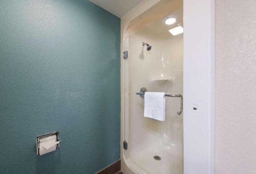 酒店 Sleep Inn Northlake