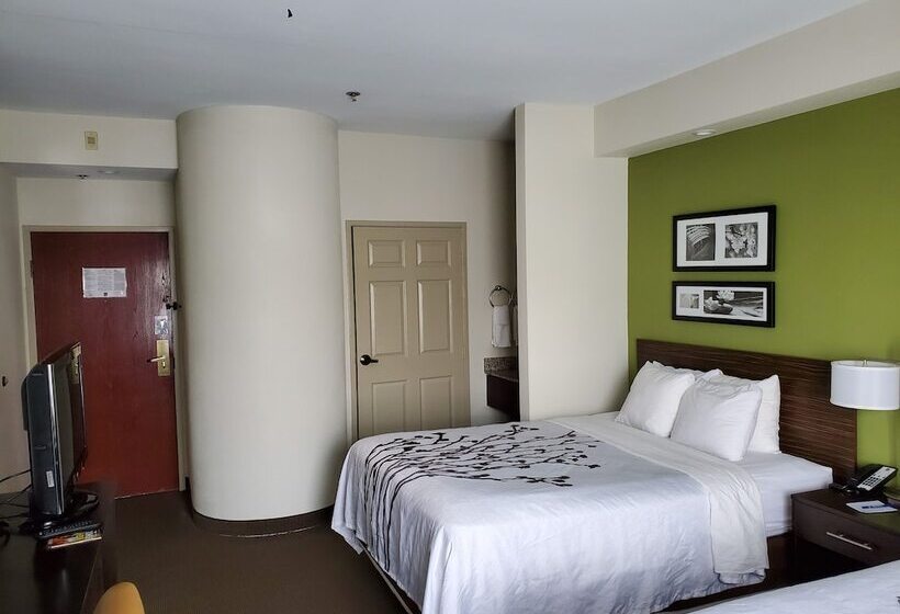 酒店 Sleep Inn Richmond North