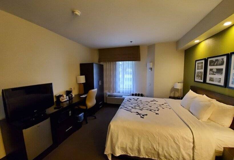 酒店 Sleep Inn Richmond North