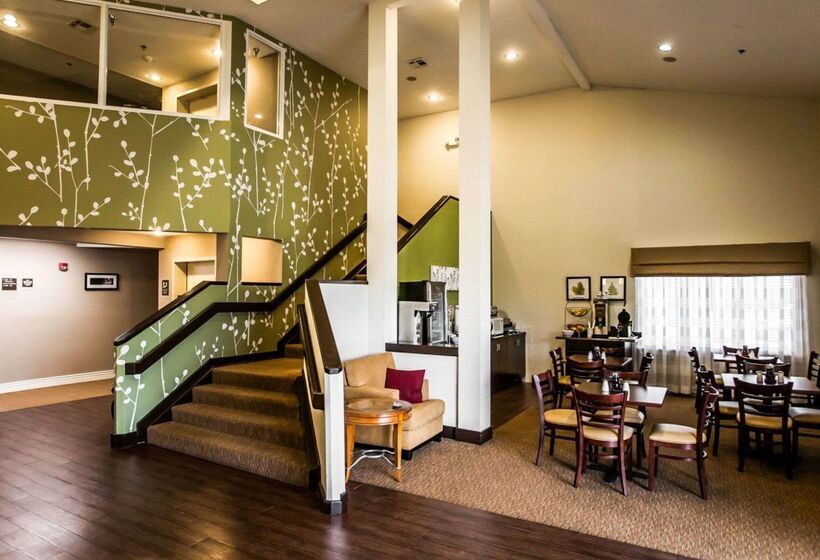 酒店 Sleep Inn Slidell