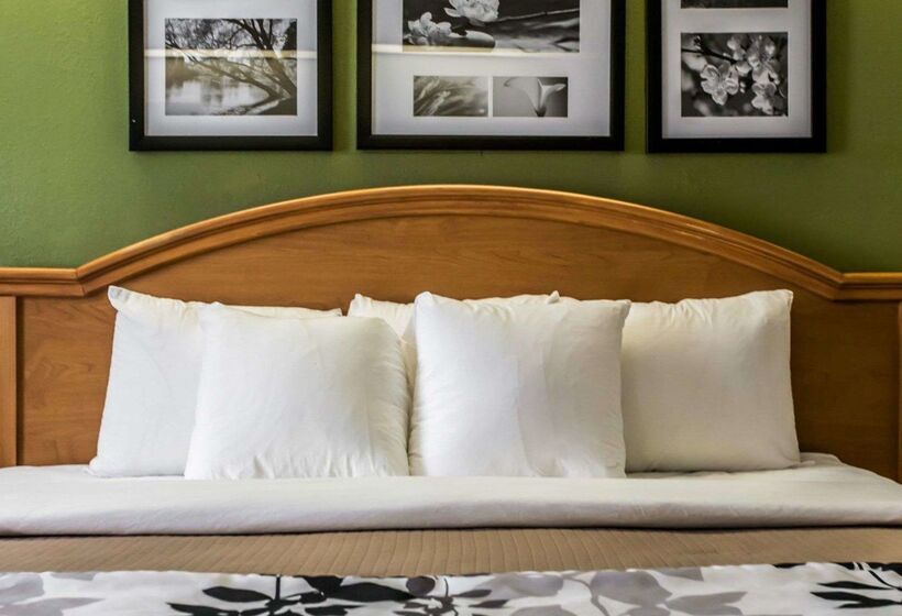 酒店 Sleep Inn Slidell