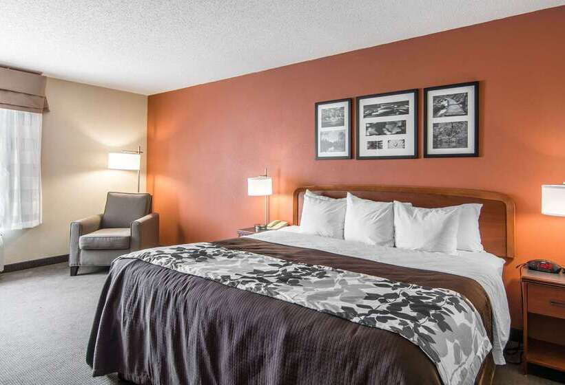 酒店 Spark By Hilton Fredericksburg Southpoint