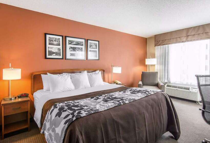 酒店 Spark By Hilton Fredericksburg Southpoint