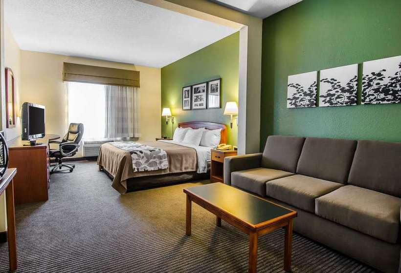 酒店 Sleep Inn & Suites Danville Hwy 58