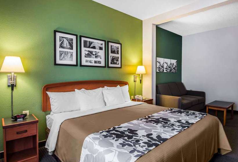 酒店 Sleep Inn & Suites Danville Hwy 58