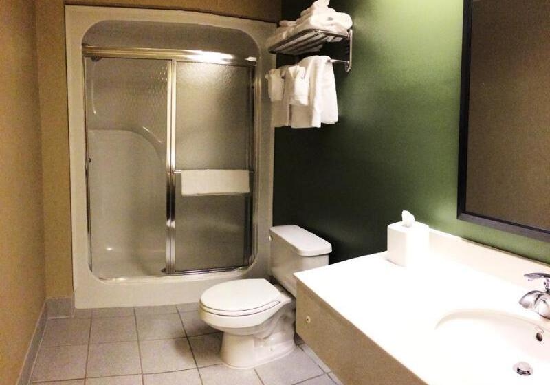 فندق Sleep Inn & Suites Danville Hwy 58