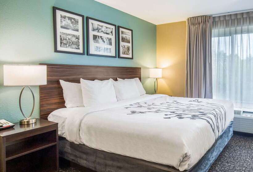 ホテル Sleep Inn & Suites