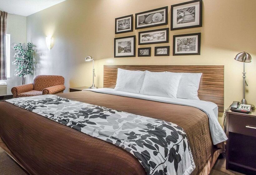 فندق Sleep Inn & Suites Green Bay South