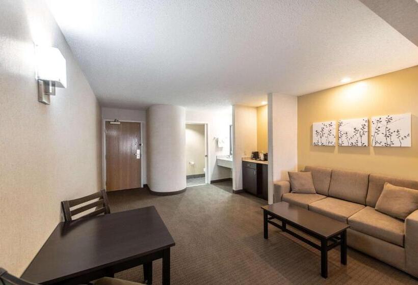 فندق Sleep Inn & Suites Green Bay South