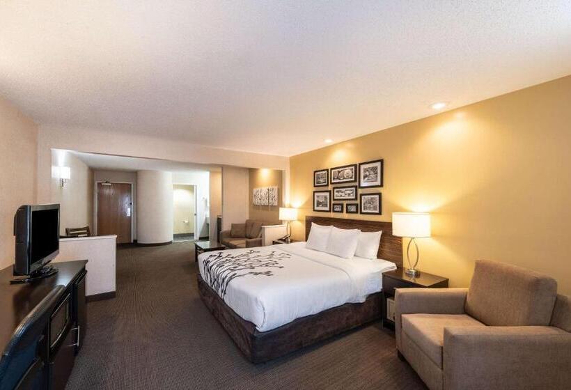 فندق Sleep Inn & Suites Green Bay South