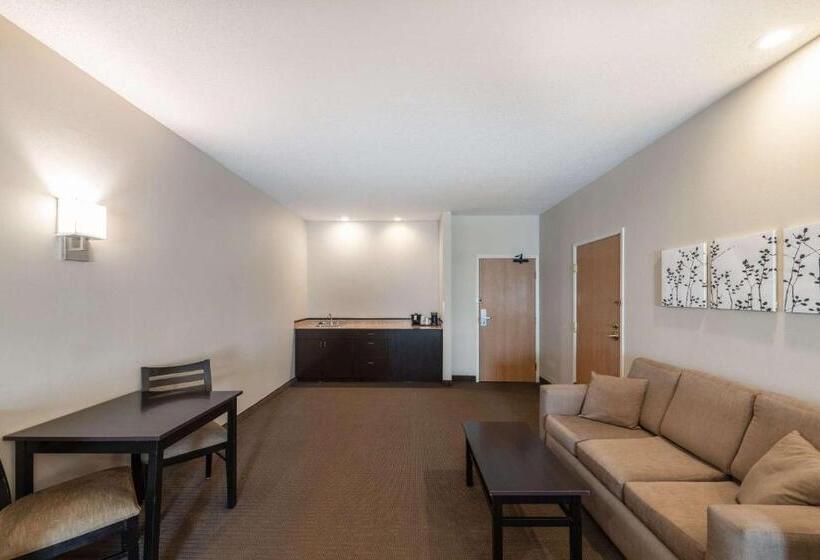 فندق Sleep Inn & Suites Green Bay South
