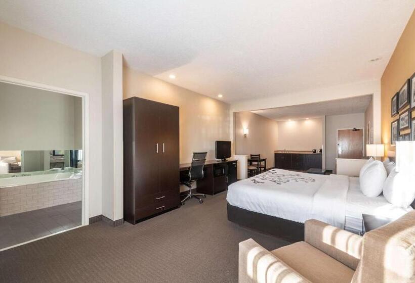 فندق Sleep Inn & Suites Green Bay South