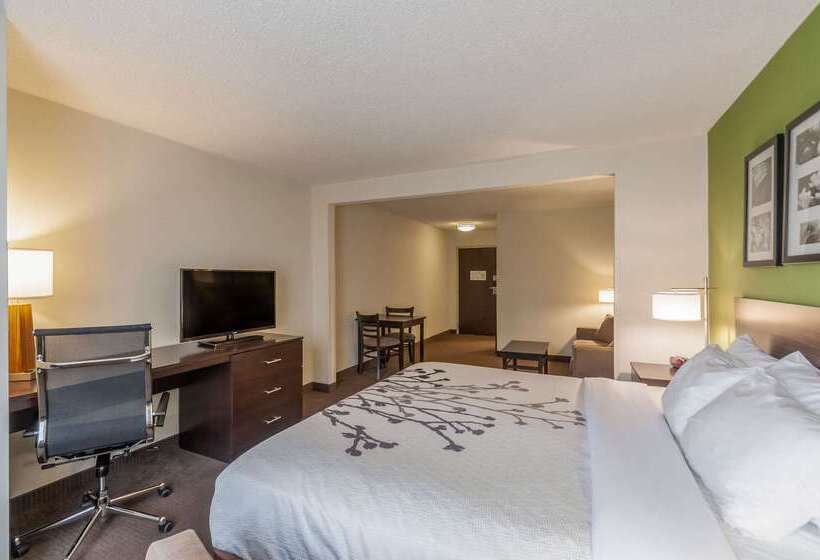 ホテル Sleep Inn & Suites Harrisonburg Near University