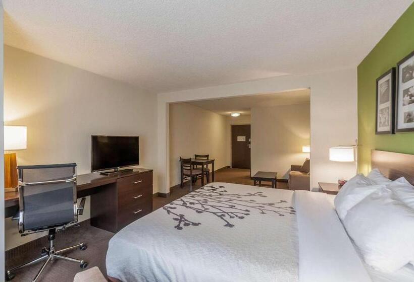 ホテル Sleep Inn & Suites Harrisonburg Near University