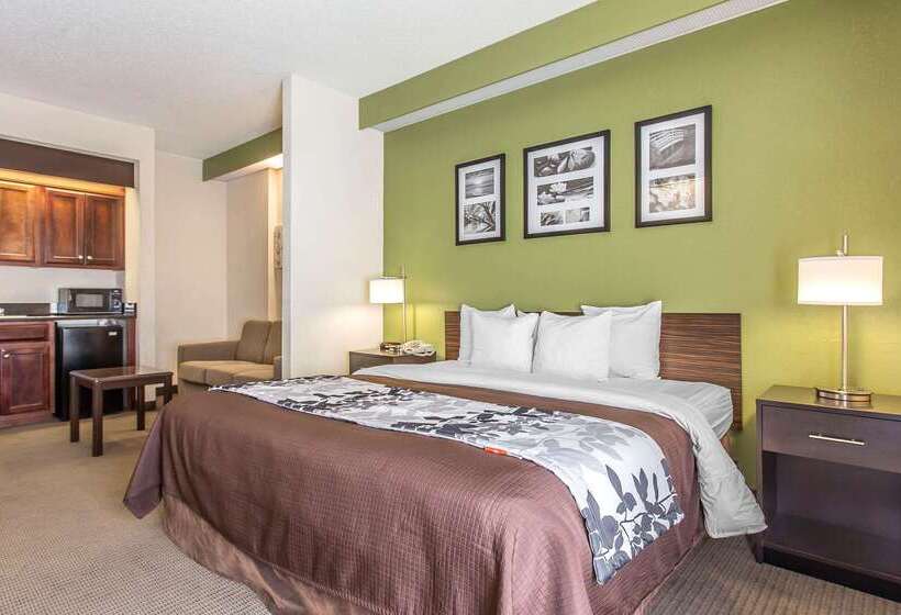 Отель Sleep Inn & Suites