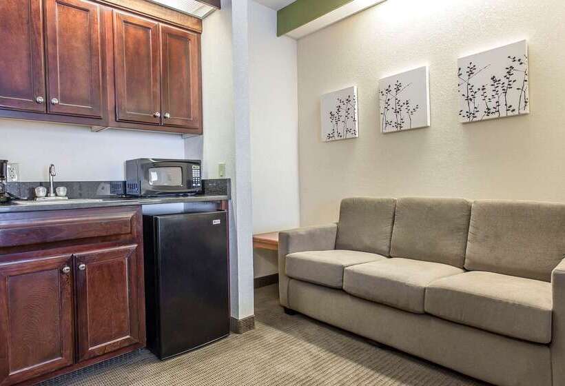 Отель Sleep Inn & Suites