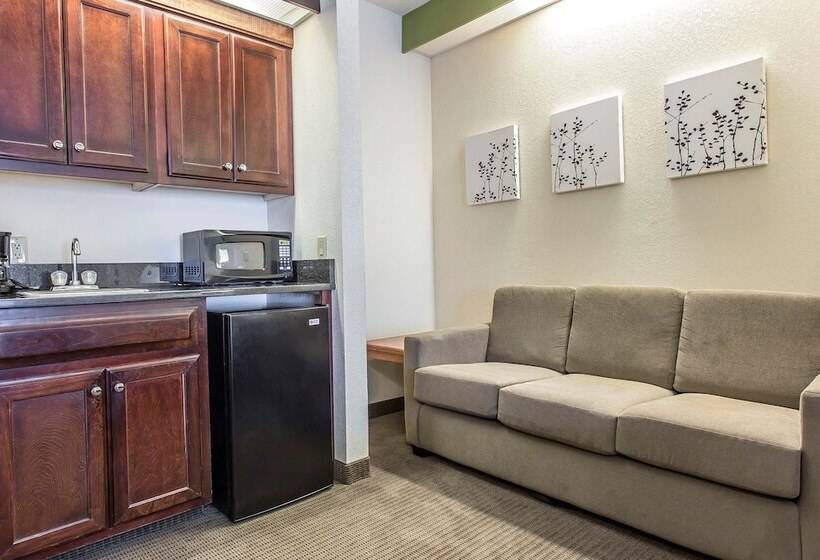 Отель Sleep Inn & Suites