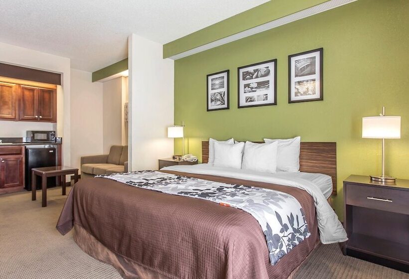 Отель Sleep Inn & Suites