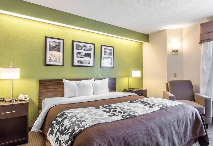 Отель Sleep Inn & Suites