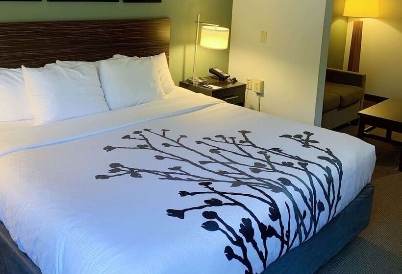 Отель Sleep Inn & Suites Queensbury  Lake George