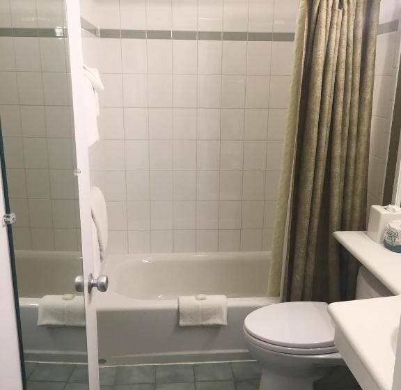 هتل Stoweflake Mountain Resort & Spa