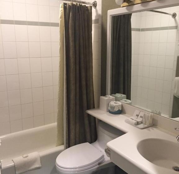 هتل Stoweflake Mountain Resort & Spa