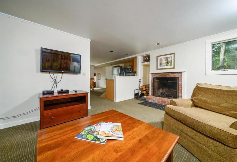 هتل Stoweflake Mountain Resort & Spa