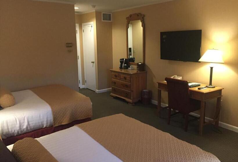 هتل Stoweflake Mountain Resort & Spa