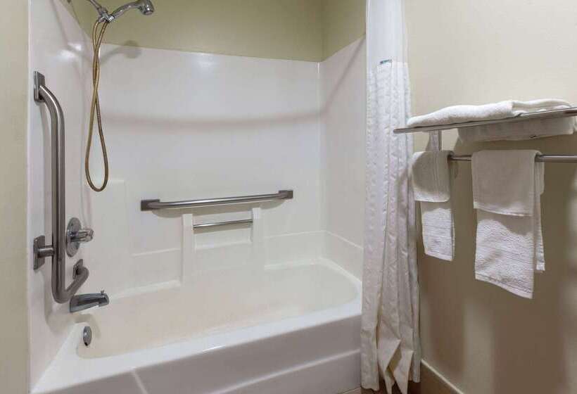 ホテル Rodeway Inn